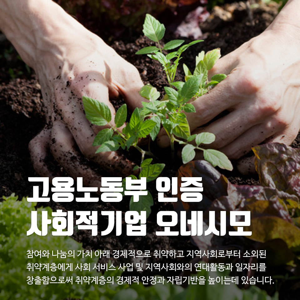20260708104804_bqaMYonC.jpg_carousel_오네시모_친환경 유기농 식품 및 머드 제품 판매 전문점, 건강한 친환경 유기농식품을 소비자가 믿고 살 수 있는 친환경 유기농 식품 및 머드 제품 판매 스토어, 오네시모, 친환경 유기농 식품 전문